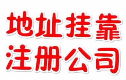 代理記賬一年800元，記賬會(huì)計(jì)代理